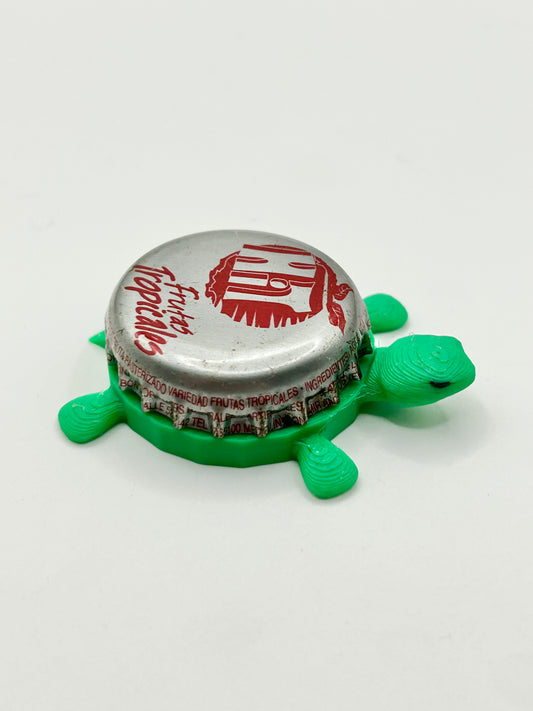 Hit Frutas Tropicales - Bottle Cap Magnet Turtle