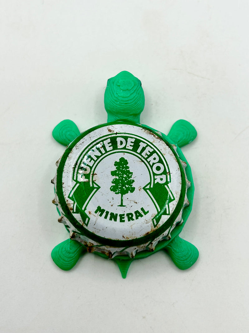 Fuente de Teror Mineral Water - Bottle Cap Magnet Turtle Shell Shocked Art