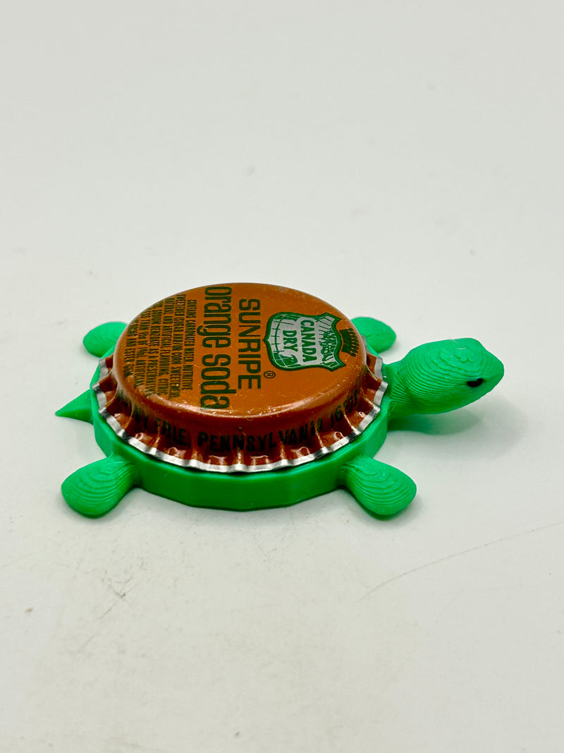 Canada Dry Sunripe Orange Soda - Bottle Cap Magnet Turtle Shell Shocked Art