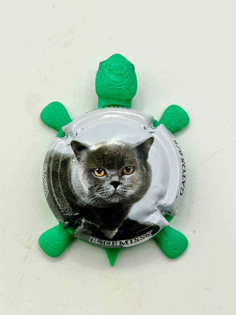 Black Cat Cava - Bottle Cap Magnet Turtle Shell Shocked Art