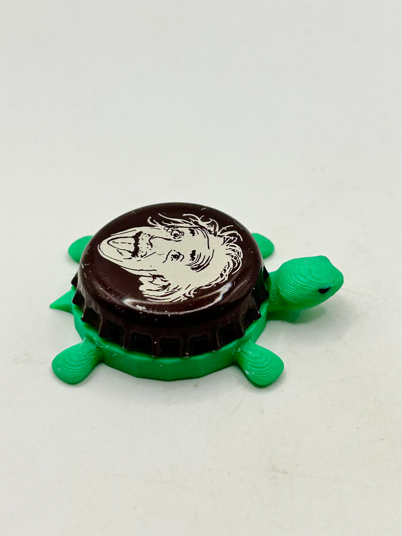 Steinie, Albert Einstein (Kesselring, Germany) - Bottle Cap Magnet Turtle Shell Shocked Art