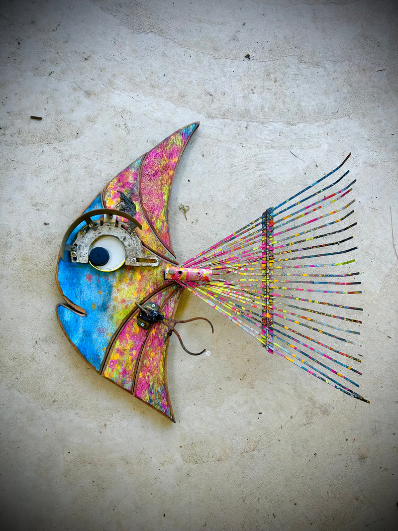 Caleo - Fish Wall Art (28” x 25”) Shell Shocked Art