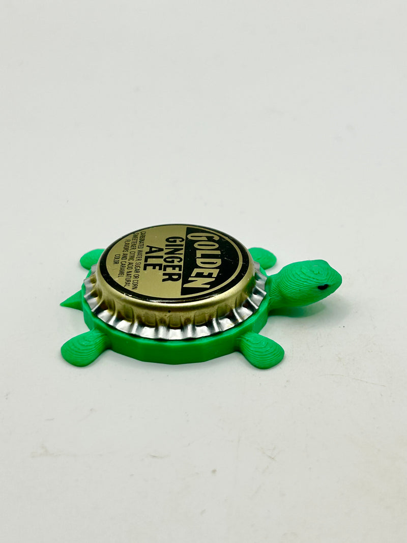 Golden Ginger Ale Soda - Bottle Cap Magnet Turtle Shell Shocked Art