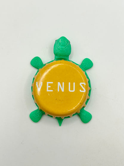 Bell's Venus - Bottle Cap Magnet Turtle Shell Shocked Art