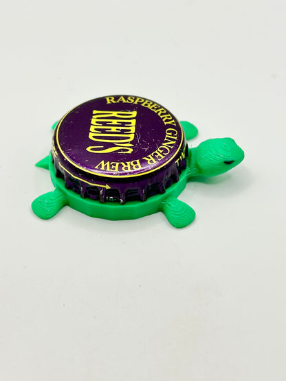 Reed’s Raspberry Ginger Brew - Bottle Cap Magnet Turtle Shell Shocked Art