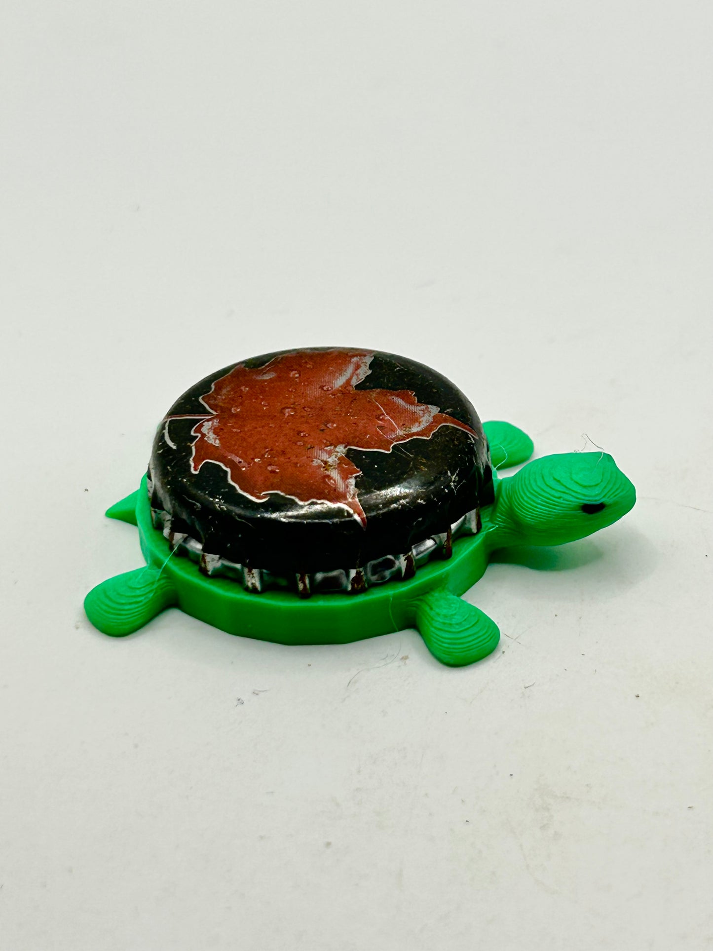Molson (Red Leaf, Black) - Bottle Cap Magnet Turtle Shell Shocked Art