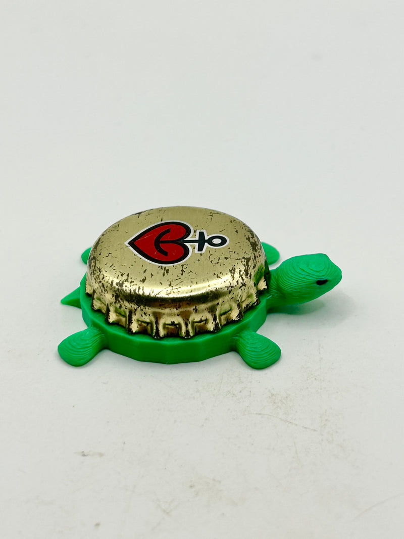 Astra Beer - Bottle Cap Magnet Turtle Shell Shocked Art