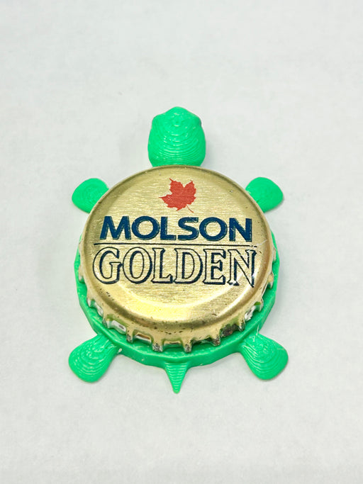 Molson Golden - Bottle Cap Magnet Turtle Shell Shocked Art