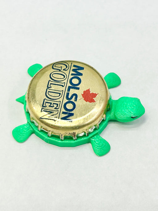 Molson Golden - Bottle Cap Magnet Turtle Shell Shocked Art