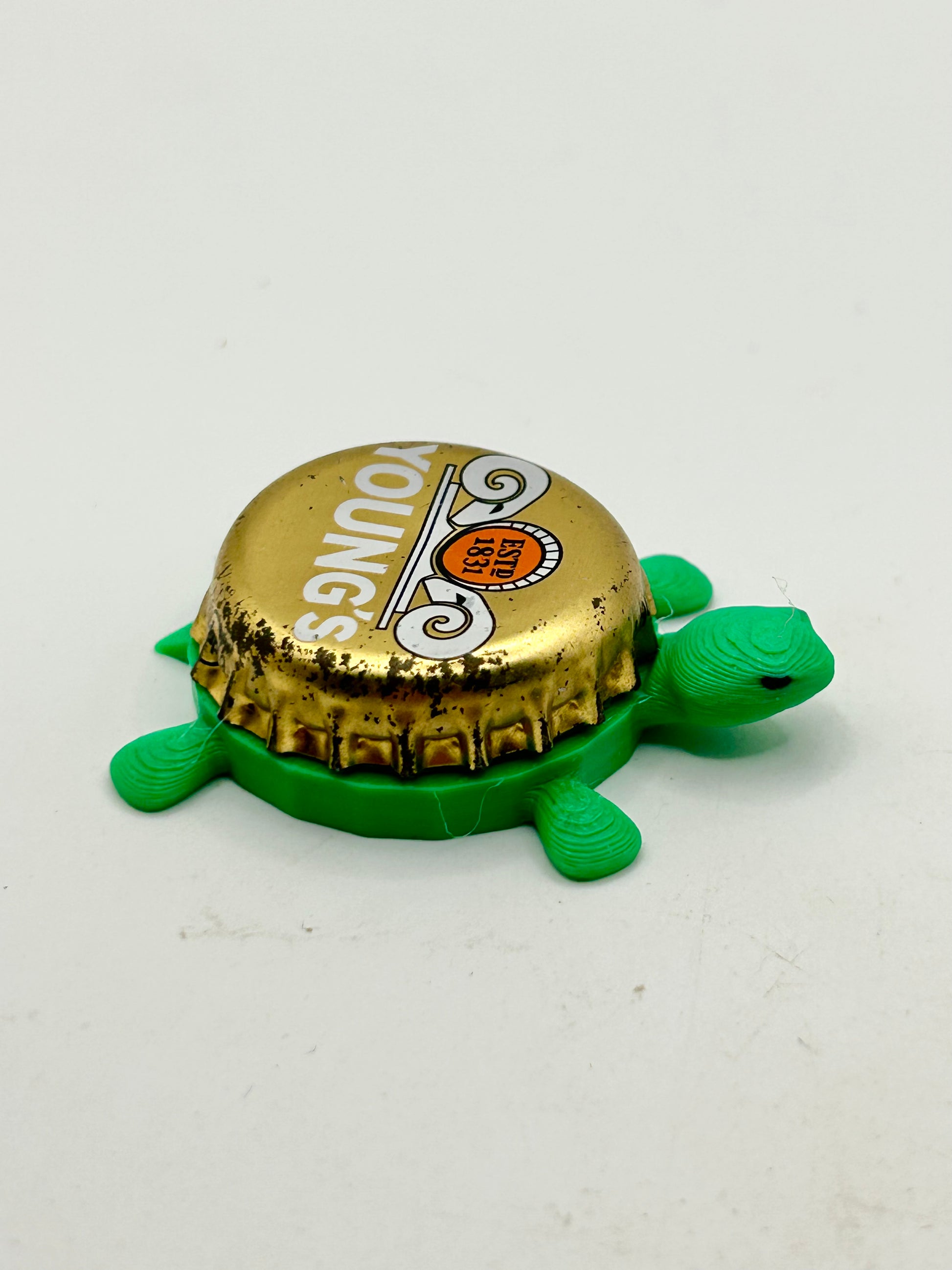 Young’s Beer - Bottle Cap Magnet Turtle Shell Shocked Art