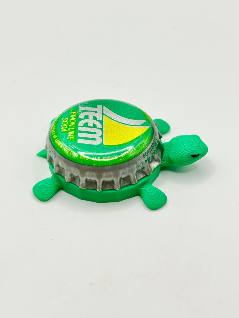 Teem - Bottle Cap Magnet Turtle Shell Shocked Art