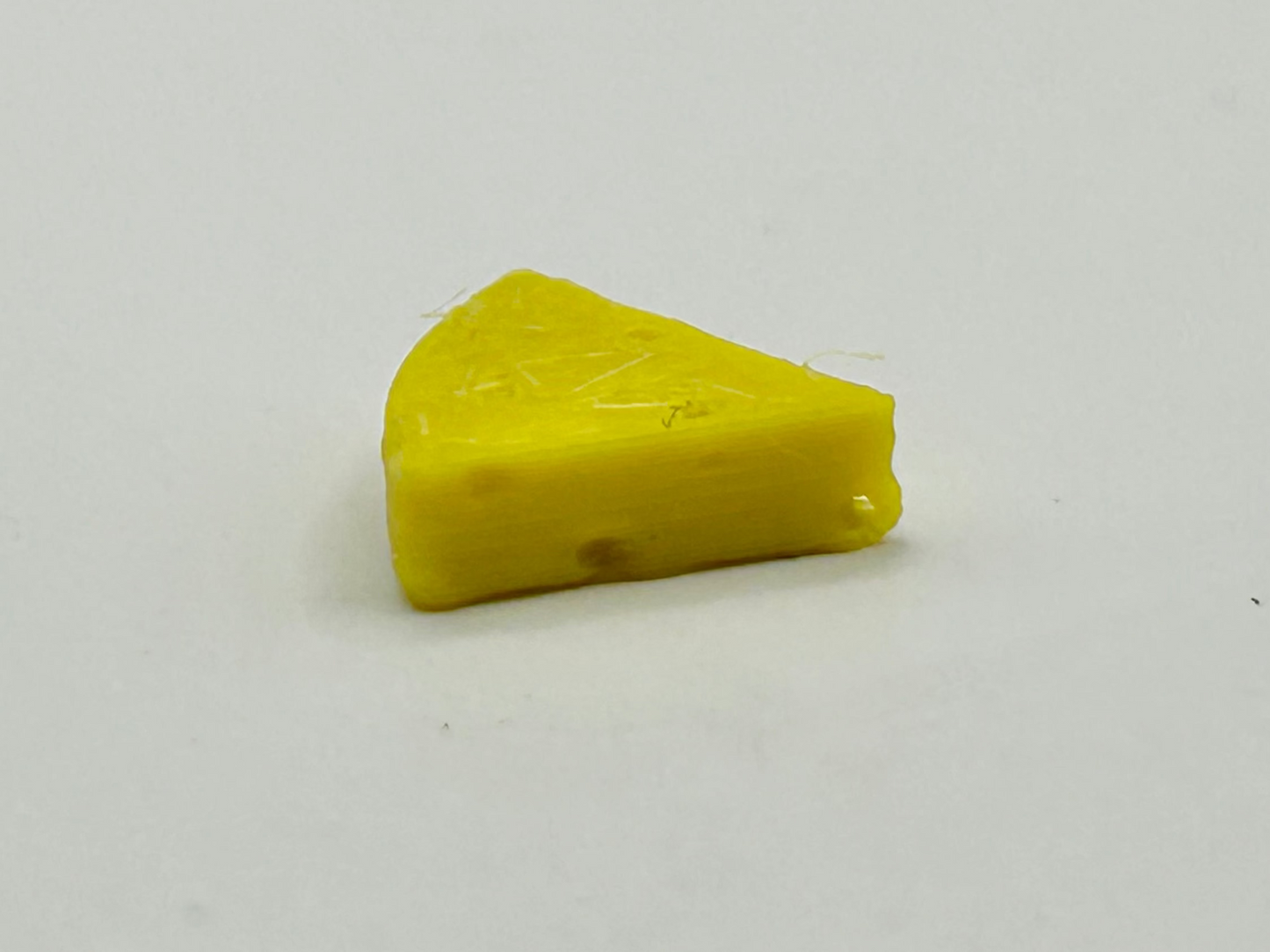 Cheese Head Shell Shocked Art