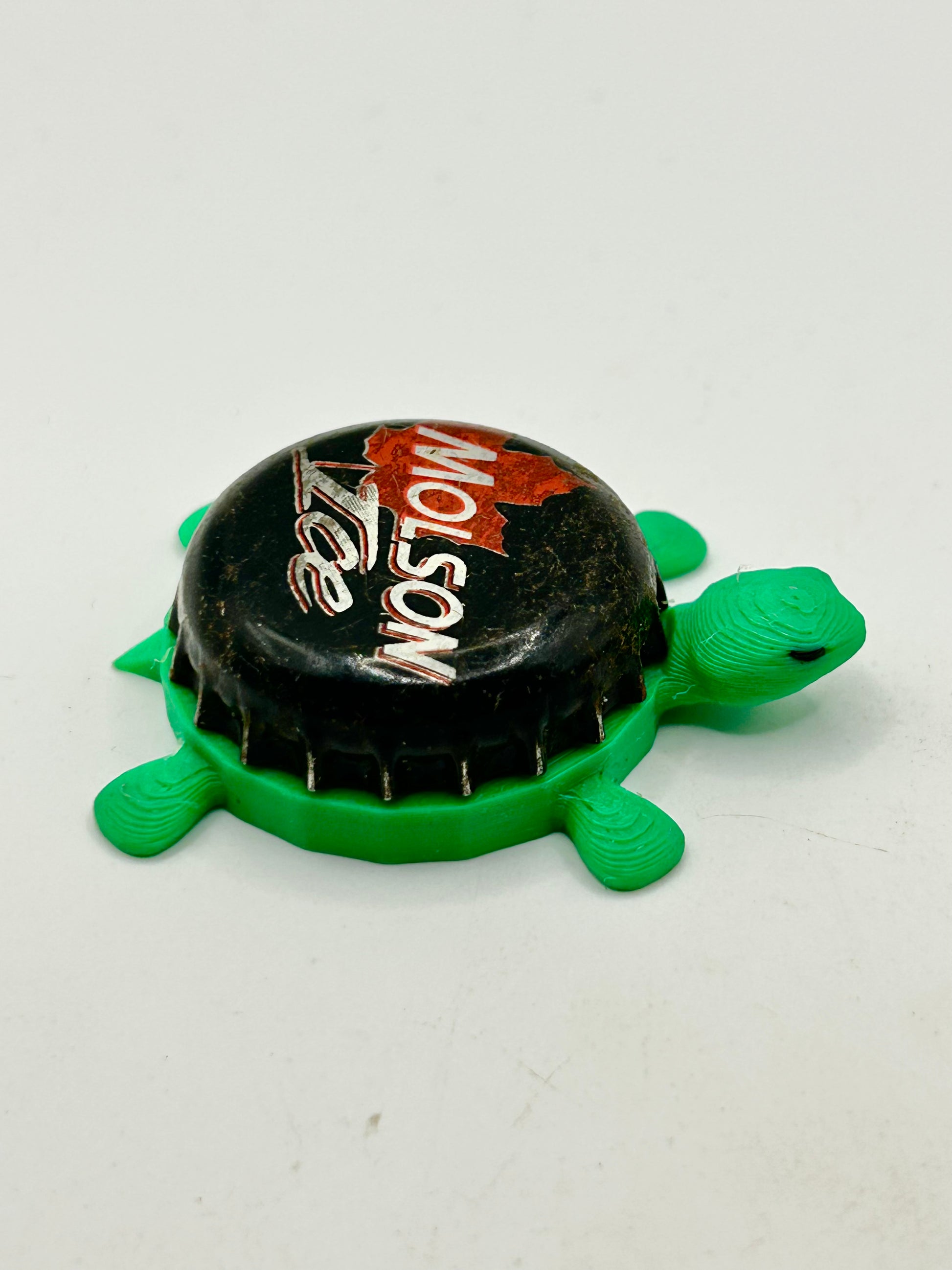 Molson Ice (Red Leaf) - Bottle Cap Magnet Turtle Shell Shocked Art
