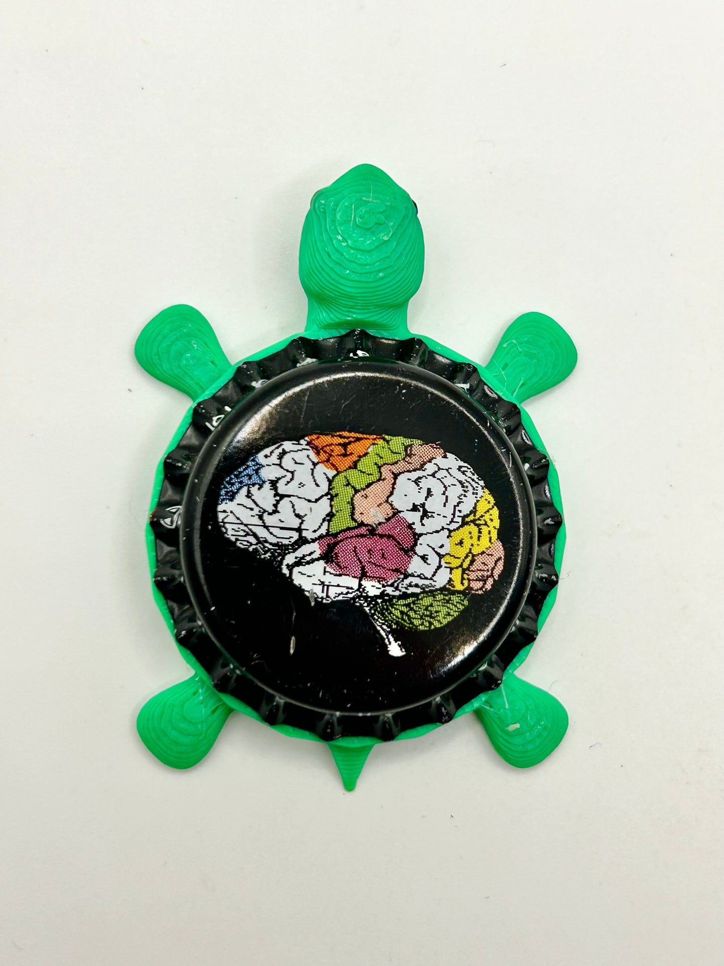 New World Beverage Soda - Bottle Cap Magnet Turtle Shell Shocked Art