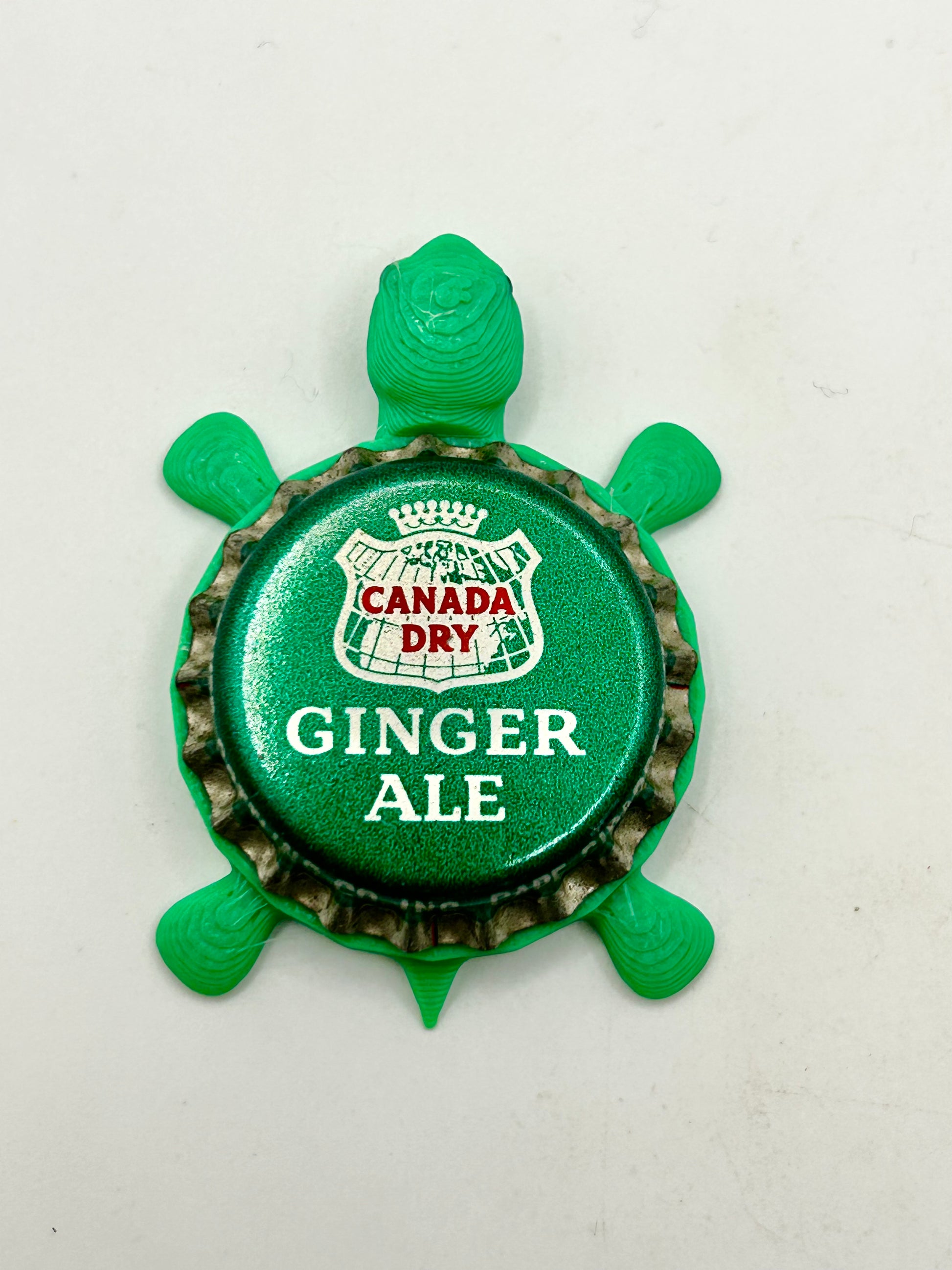 Canada Dry Ginger Ale Soda (Vintage) - Bottle Cap Magnet Turtle Shell Shocked Art