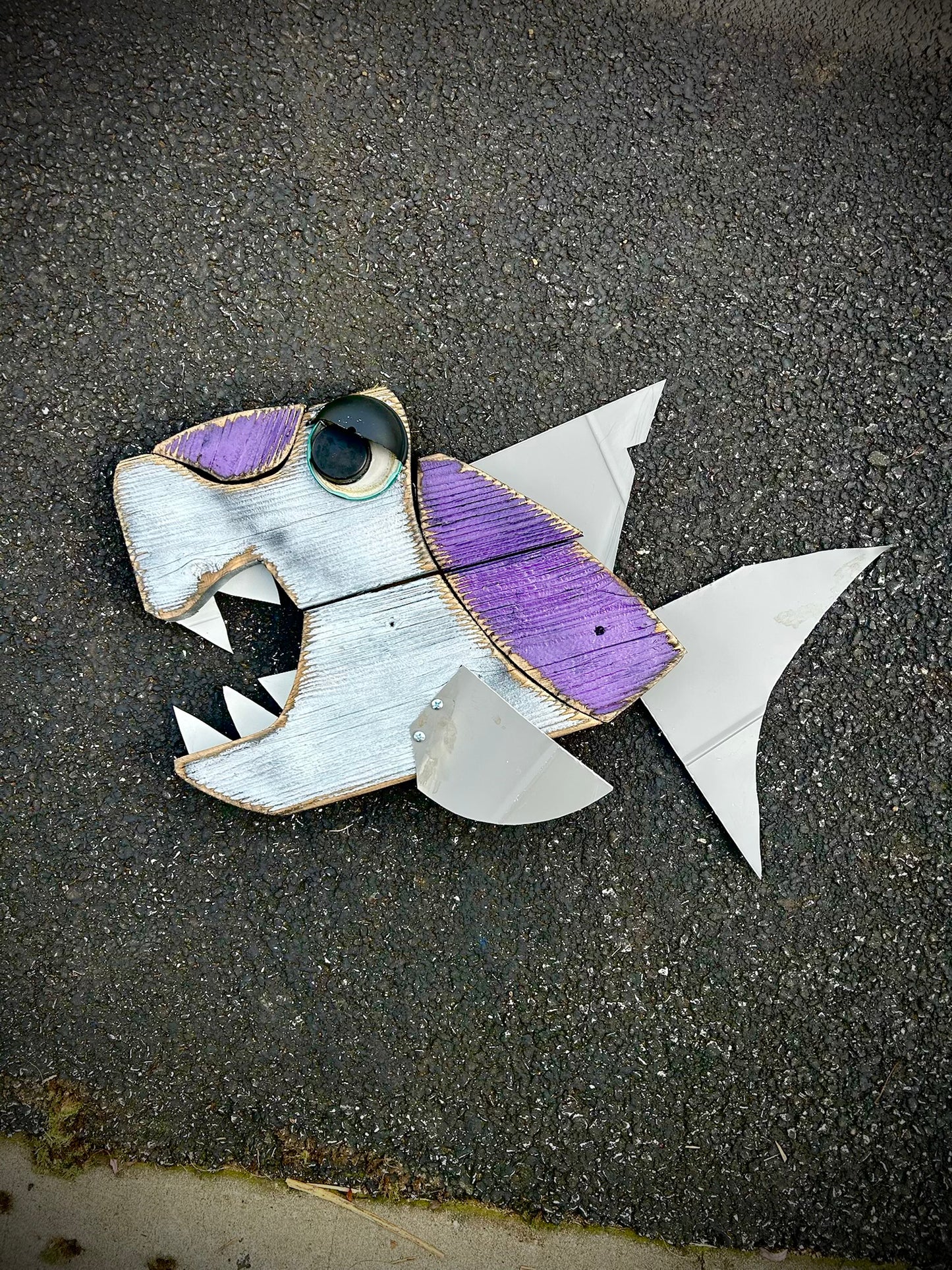 Purple Chomps - Fish Wall Art (16”x16”) Shell Shocked Art