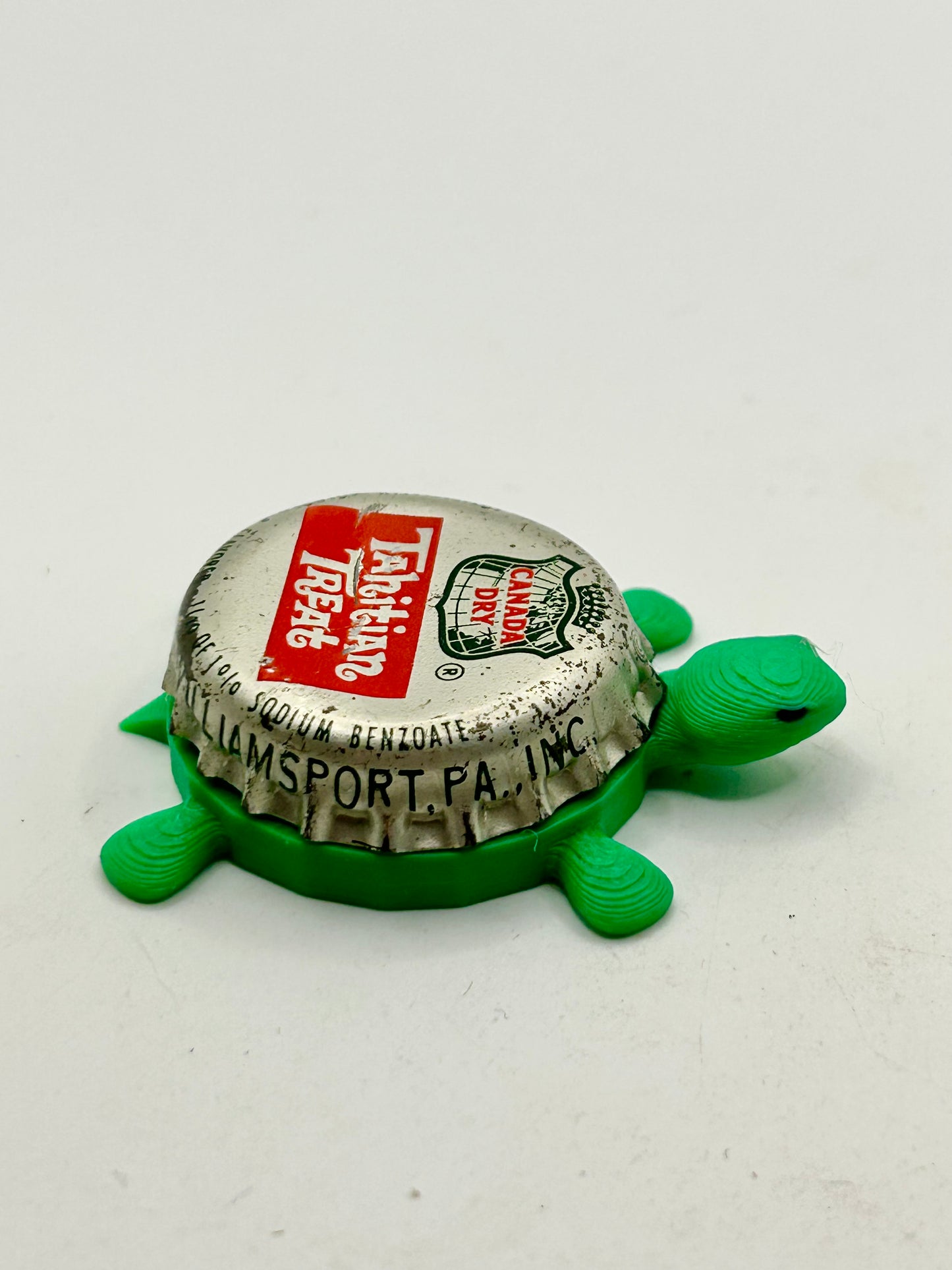 Canada Dry Tahitian Treat - Bottle Cap Magnet Turtle Shell Shocked Art