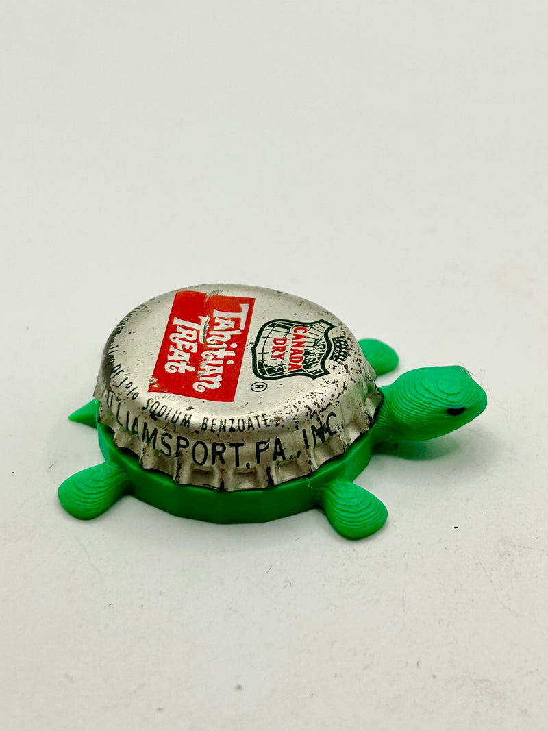 Canada Dry Tahitian Treat - Bottle Cap Magnet Turtle Shell Shocked Art