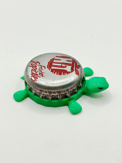 Hit Frutas Tropicales - Bottle Cap Magnet Turtle Shell Shocked Art