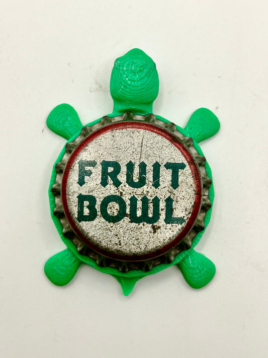 Fruit Bowl (Vintage) - Bottle Cap Magnet Turtle Shell Shocked Art