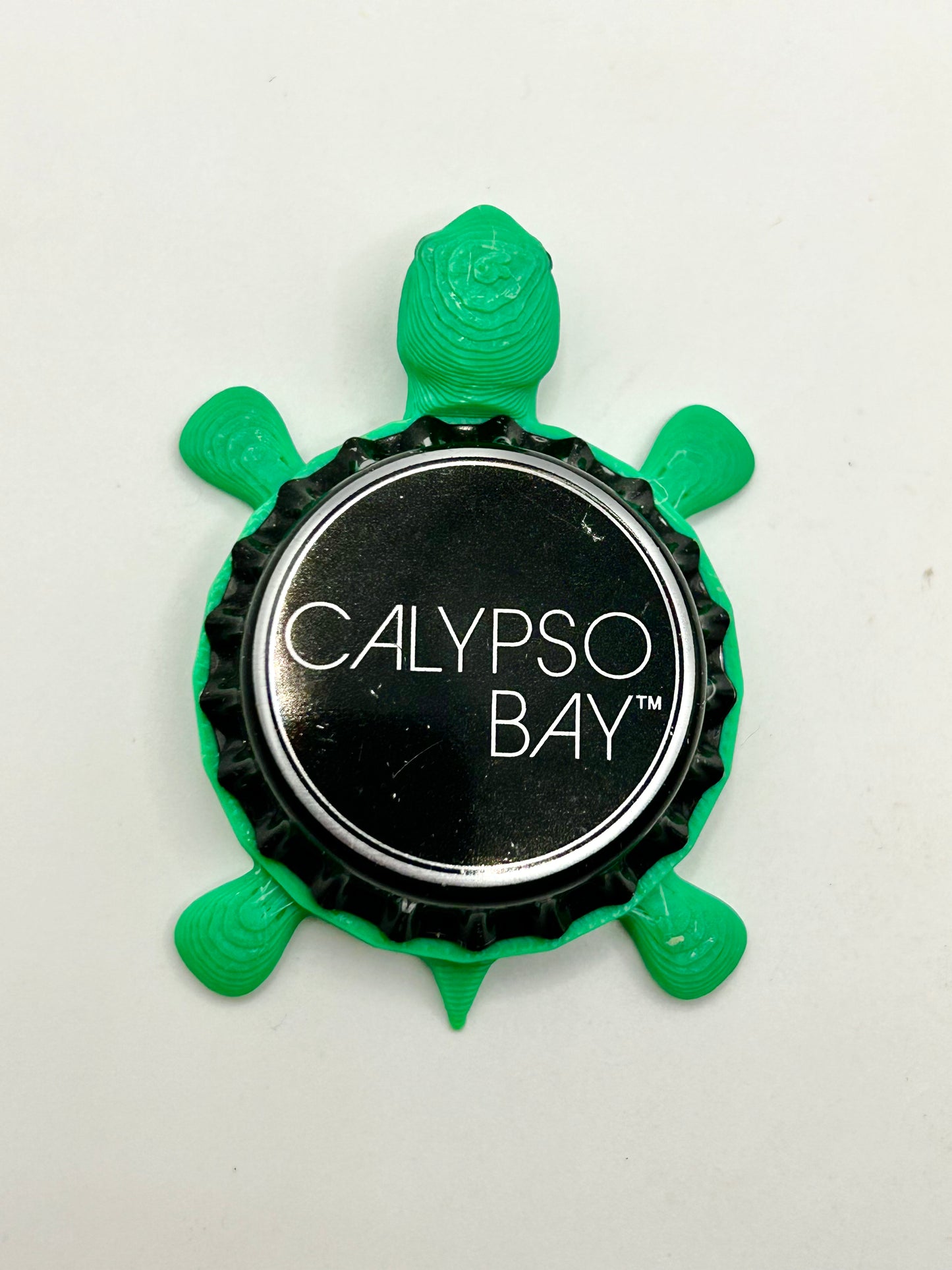 Calypso Bay - Bottle Cap Magnet Turtle Shell Shocked Art