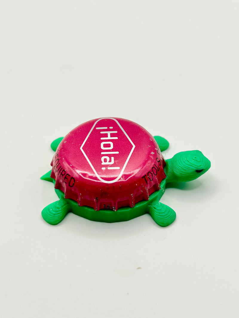 Hola! Full Sail Brewing - Bottle Cap Magnet Turtle Shell Shocked Art
