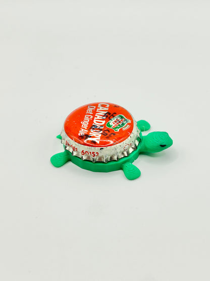 Canada Dry Ginger Ale Soda (Vintage Red) - Bottle Cap Magnet Turtle Shell Shocked Art
