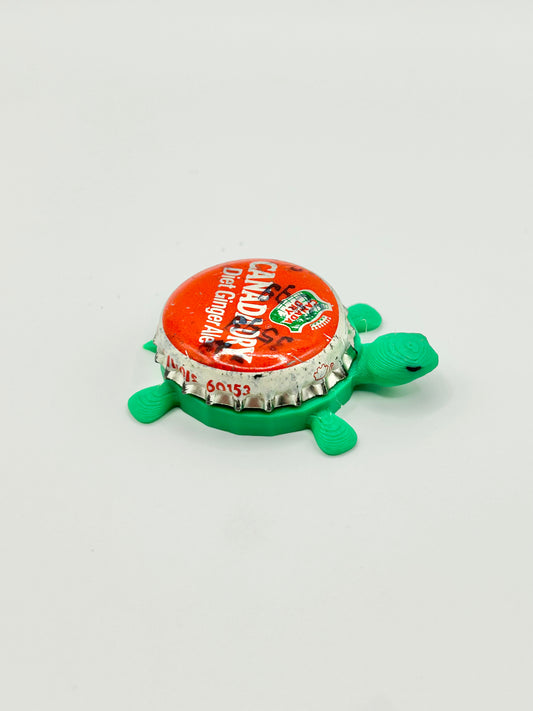 Canada Dry Ginger Ale Soda (Vintage Red) - Bottle Cap Magnet Turtle
