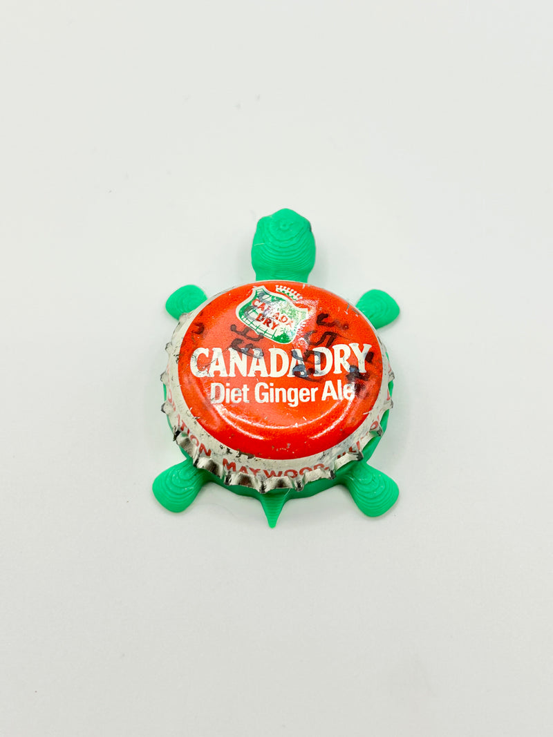 Canada Dry Ginger Ale Soda (Vintage Red) - Bottle Cap Magnet Turtle Shell Shocked Art