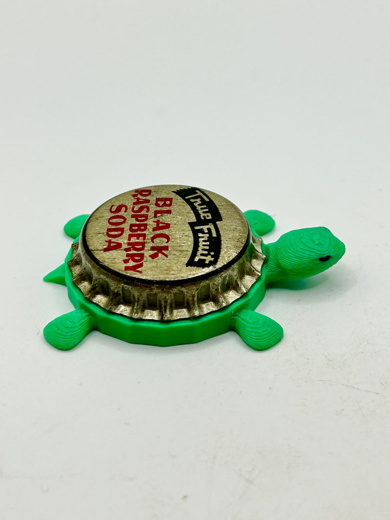 True Fruit Black Raspberry Soda - Bottle Cap Magnet Turtle Shell Shocked Art