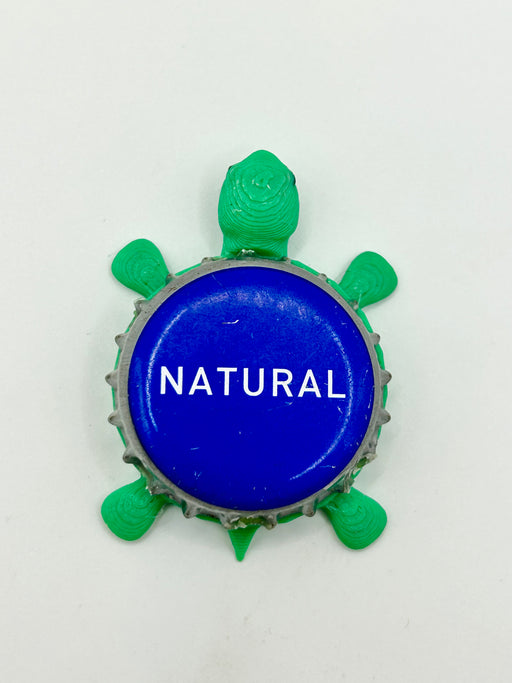 Natural Water - Bottle Cap Magnet Turtle Shell Shocked Art
