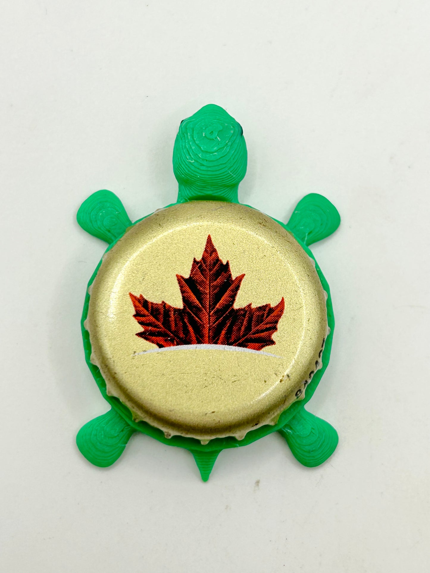 Molson Canadian Lager (Leaf, Gold) - Bottle Cap Magnet Turtle Shell Shocked Art