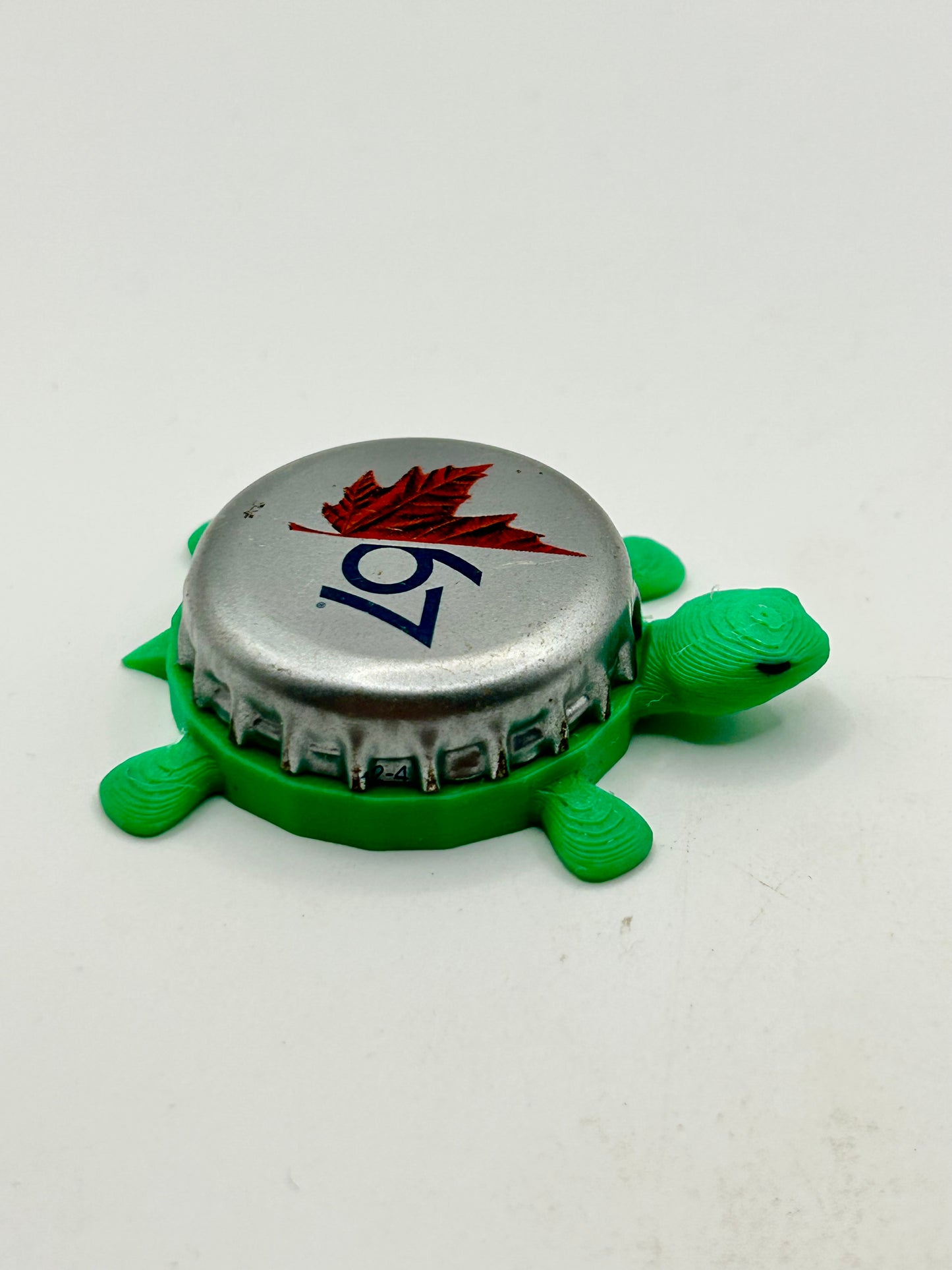 Molson Beer (Leaf, 67) - Bottle Cap Magnet Turtle Shell Shocked Art