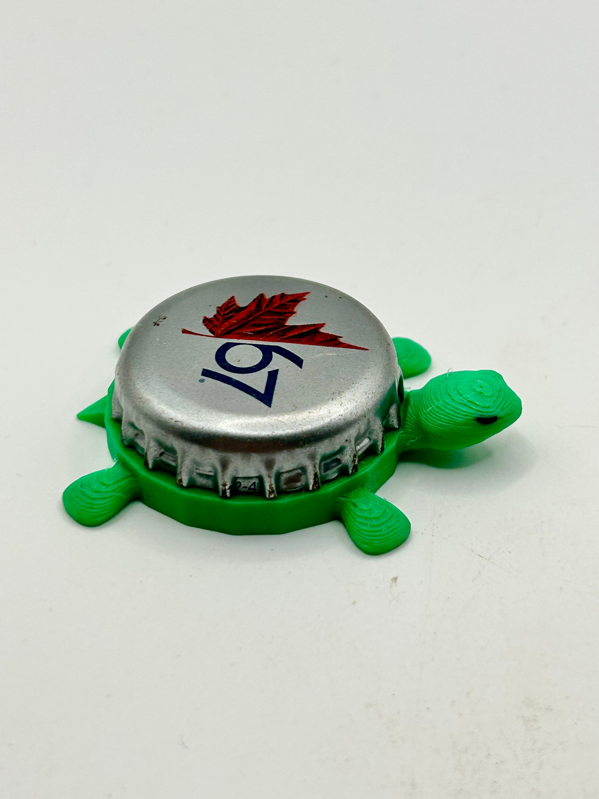 Molson Beer (Leaf, 67) - Bottle Cap Magnet Turtle Shell Shocked Art