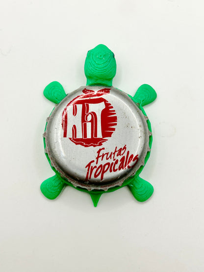 Hit Frutas Tropicales - Bottle Cap Magnet Turtle Shell Shocked Art