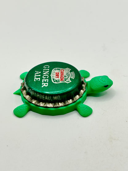 Canada Dry Ginger Ale Soda (Vintage) - Bottle Cap Magnet Turtle Shell Shocked Art
